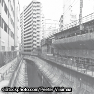 ©iStockphoto.com/Peeter Viisimaa3.jpg